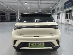 2025 BYD Dolphin 420km Fashion — фото 5