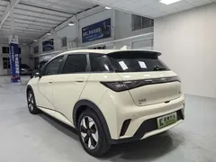 2025 BYD Dolphin 420km Fashion — фото 6