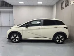 2025 BYD Dolphin 420km Fashion — фото 7