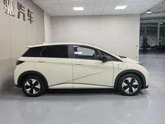 2025 BYD Dolphin 420km Fashion — фото 8