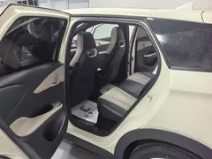 2025 BYD Dolphin 420km Fashion — фото 11