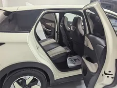 2025 BYD Dolphin 420km Fashion — фото 14