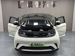 2025 BYD Dolphin 420km Fashion — фото 16