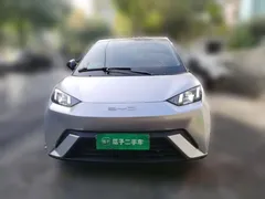 2023 BYD Seagull Flying — фото 2