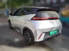 2023 BYD Seagull Flying — фото 4