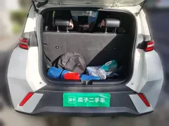2023 BYD Seagull Flying — фото 20
