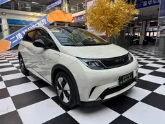 2023 BYD Dolphin 420km Fashion — фото 1