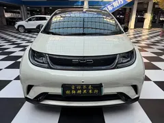 2023 BYD Dolphin 420km Fashion — фото 2