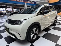 2023 BYD Dolphin 420km Fashion — фото 3
