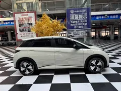 2023 BYD Dolphin 420km Fashion — фото 5