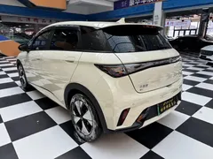 2023 BYD Dolphin 420km Fashion — фото 7