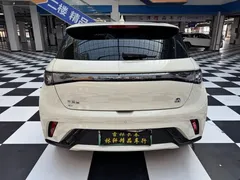 2023 BYD Dolphin 420km Fashion — фото 8