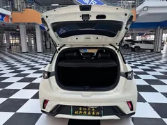2023 BYD Dolphin 420km Fashion — фото 10