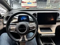 2023 BYD Dolphin 420km Fashion — фото 14