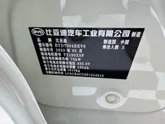 2023 BYD Dolphin 420km Fashion — фото 19