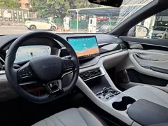 2024 BYD Song PLUS Honor DM-i PHEV 110km Flagship — фото 14