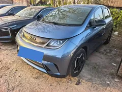 2025 BYD Dolphin 420km Freedom — фото 1