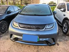 2025 BYD Dolphin 420km Freedom — фото 2