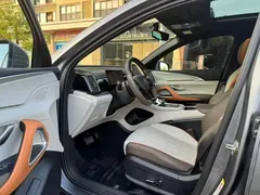 2023 BYD Song Pro Champion DM-i PHEV 71KM Leading — фото 3