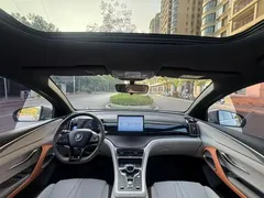 2023 BYD Song Pro Champion DM-i PHEV 71KM Leading — фото 4