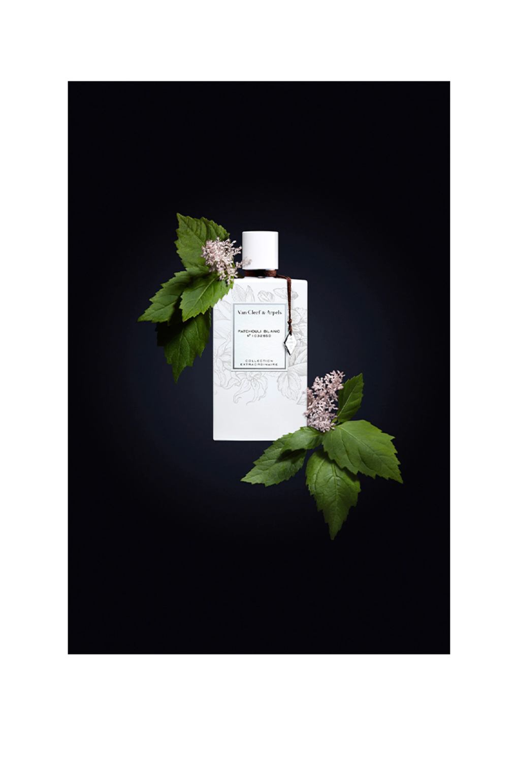 Вода парфюмерная Van Cleef & Arpels Collection Extraordinaire Patchouli Blanc, 75 мл. Фото 3.