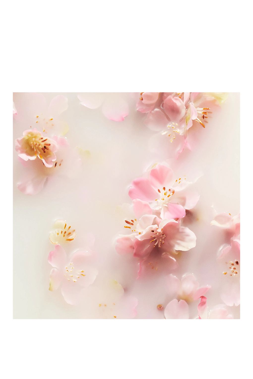 Крем для тела THE RITUAL OF SAKURA 220 ml. Фото 3.