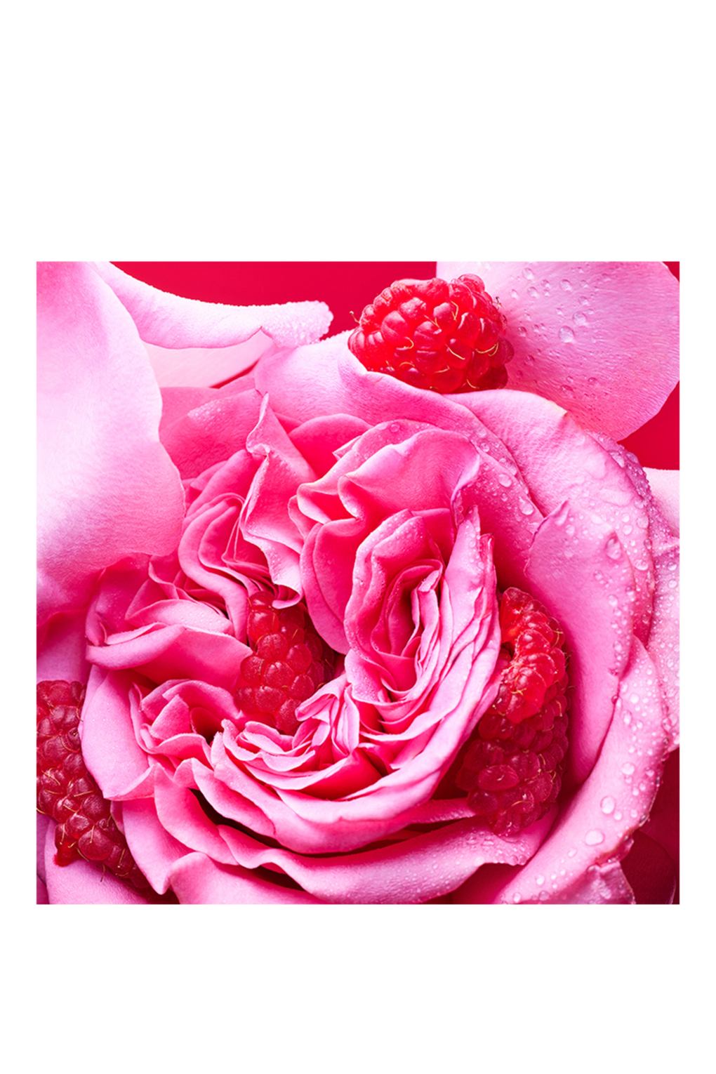 Парфюмированная вода ALLEGRA FIORI D AMORE 100 ml. Фото 3.