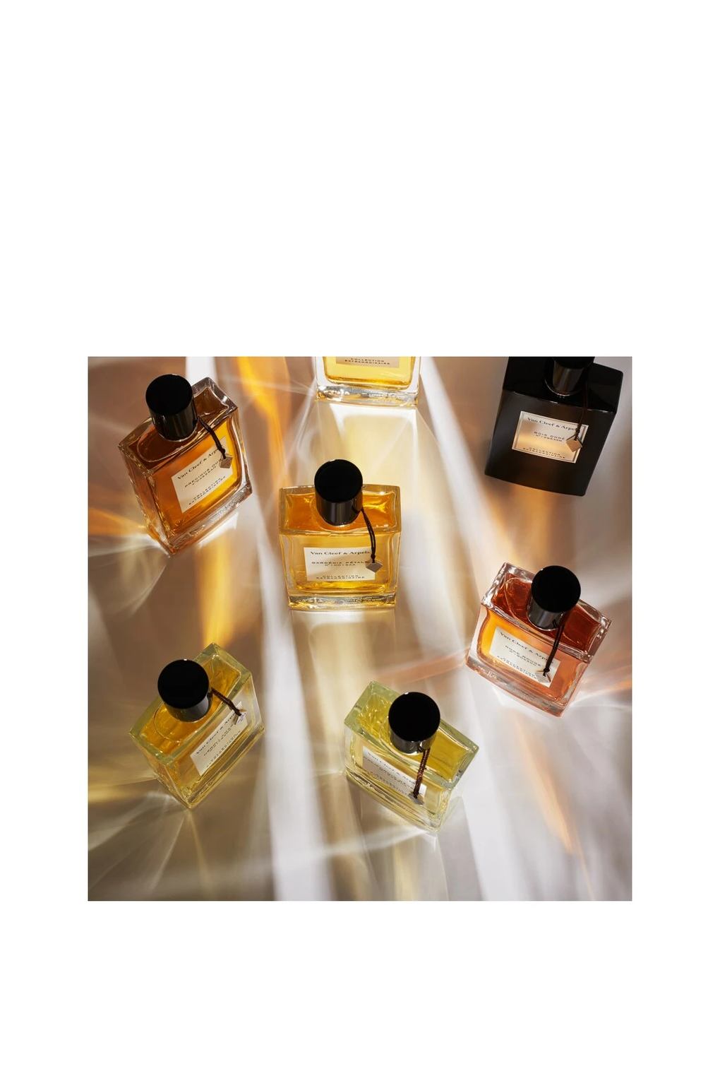 Van Cleef & Arpels Collection Extraordinaire Precious Oud Парфюмерная вода. Фото 5.
