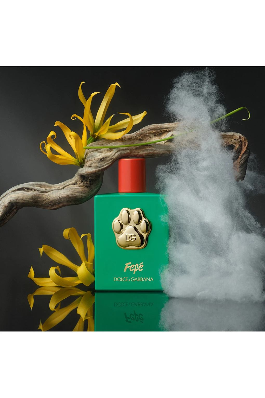 Вода парфюмерная Dolce&Gabbana Fefe, 100 мл. Фото 4.