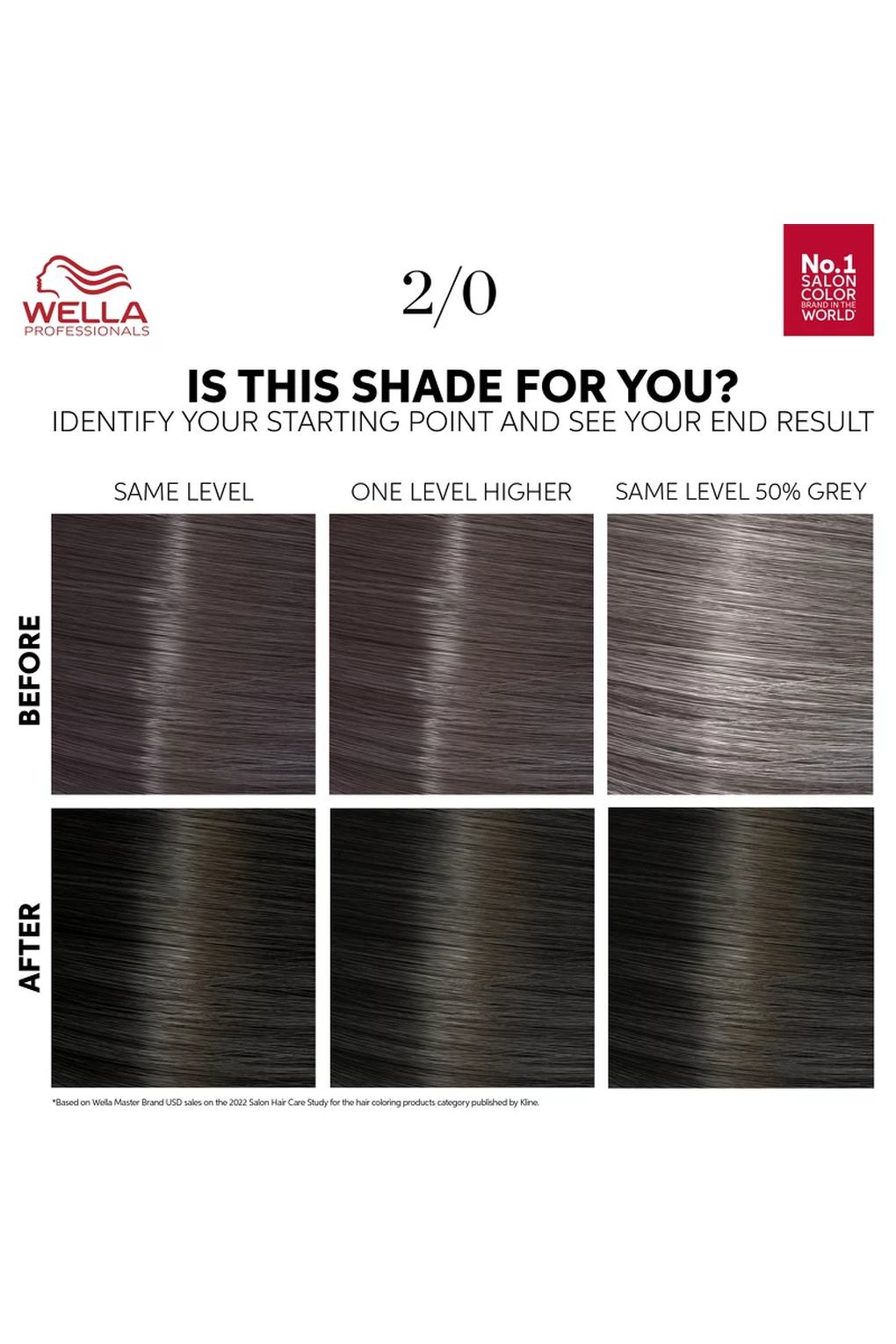 Краска для волос Wella Color Touch Pure Naturals 2/0 Black, 130 мл. Фото 2.