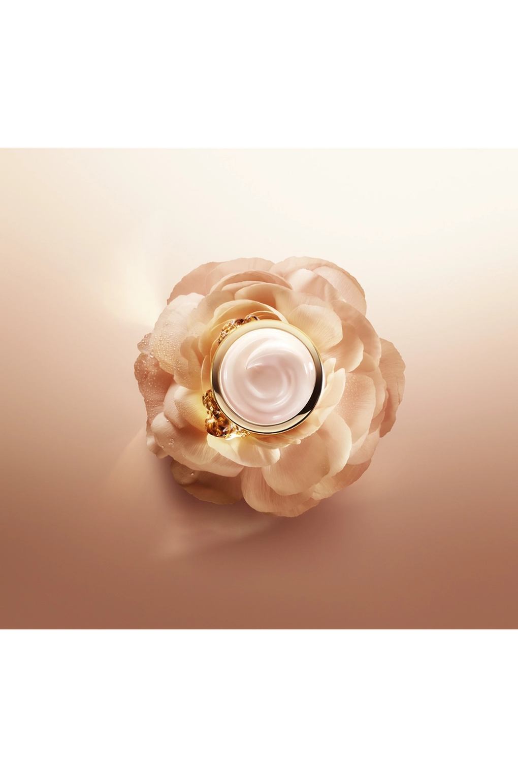 Крем для ухода за кожей Lancome Absolue Light Cream, 60 мл. Фото 6.