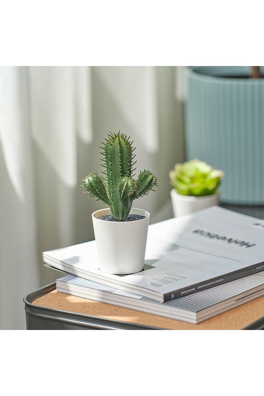Комнатное растение IKEA FEJKA. Фото 4.