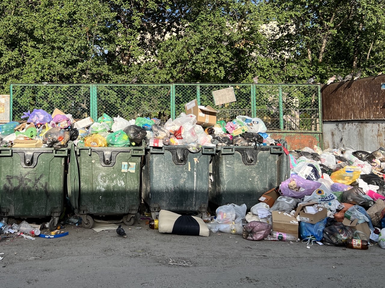 В Шалинском районе снова сменится региональный мусорный оператор