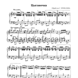 Sheets С. Привалов - Цыганочка - preview