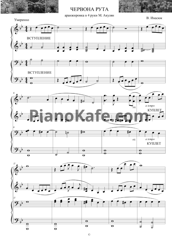 Ноты Владимир Ивасюк - Червона рута (Аранжировка в 4 руки М. Акулян)