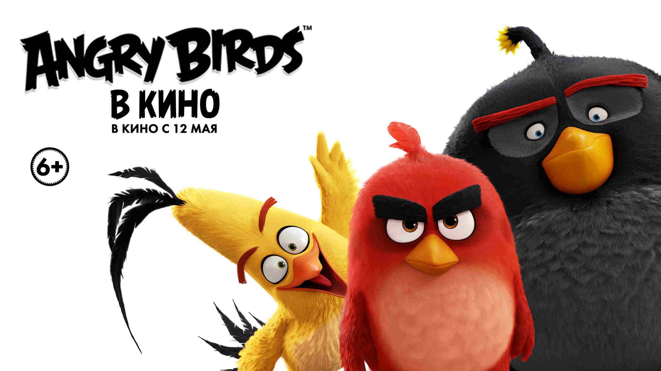 Angry Birds в кино — PianoKafe.com