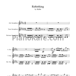 Sheets Skillet - Rebirthing - preview