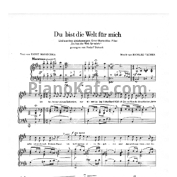 Ноты Richard Tauber - Du bist die welt für mich - предпросмотр