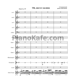 Sheets И. Дунаевский - А. Цыганков - Ой, цветёт калина (Партитура) - preview