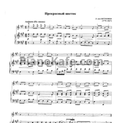 Ноты Л. В. Бетховен - Прекрасный цветок - предпросмотр