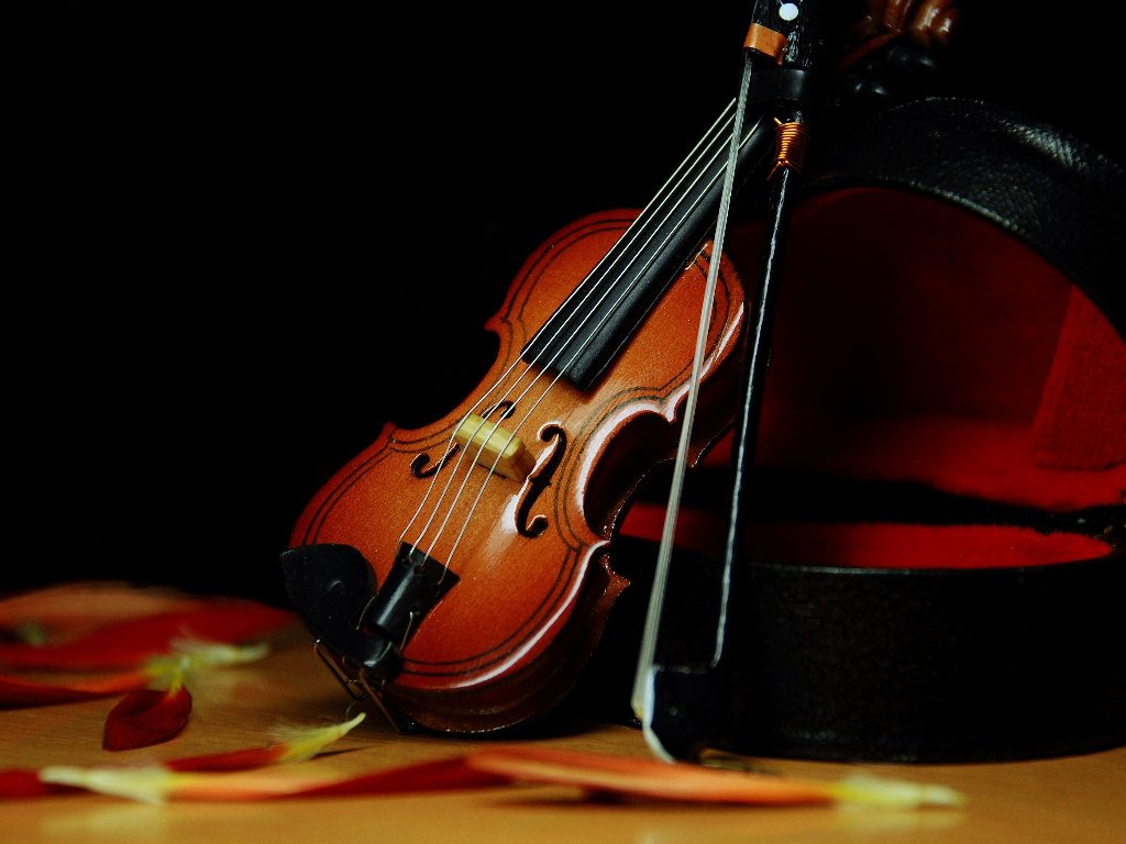 Скрипка — PianoKafe.com