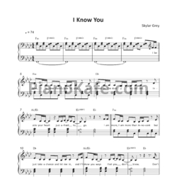 Ноты Skylar Grey - I Know You (Piano cover) - предпросмотр