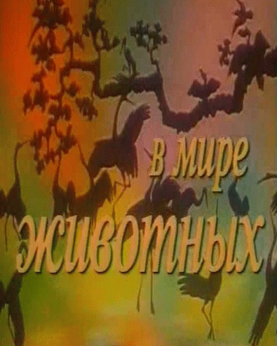 В мире животных — PianoKafe.com