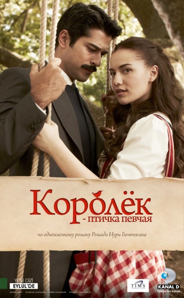 Королёк - птичка певчая — PianoKafe.com