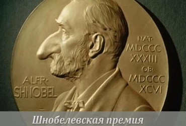 Премия Шнобель-2018: Муха в вине и ночные эрекции