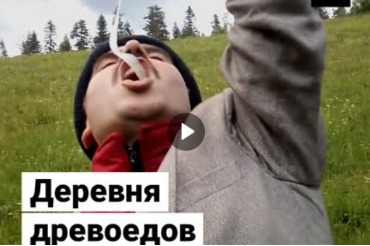 Деревня древоедов в Турции. Видео