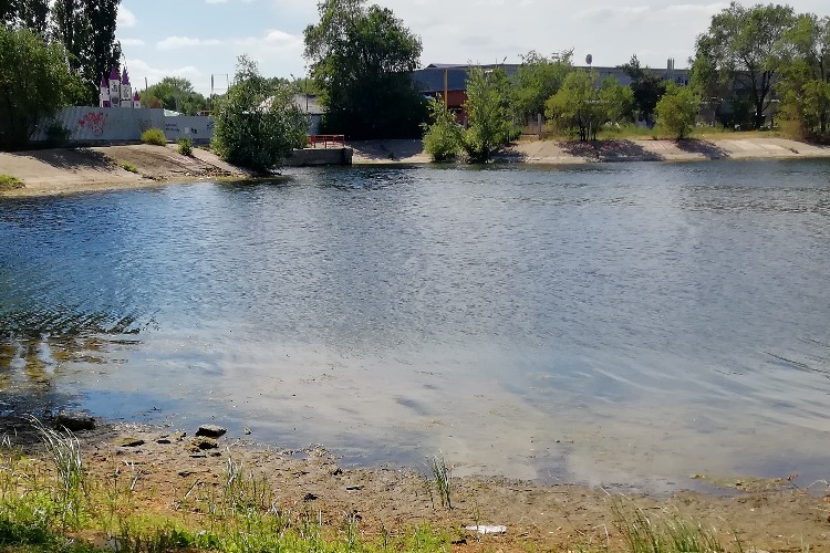 Это не пляж, а болото! Балаковцы недовольны количеством тины и водорослей