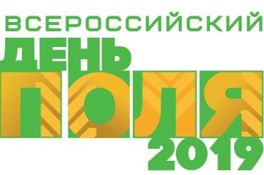 Щедрый день в Северной столице