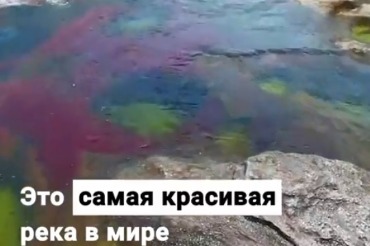 Река Пяти Цветов удивляет своей красотой. Видео
