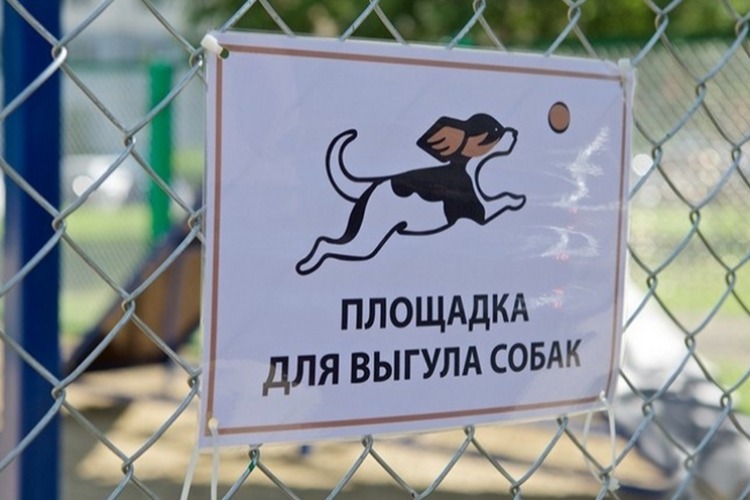 В Балакове установили места для выгула собак